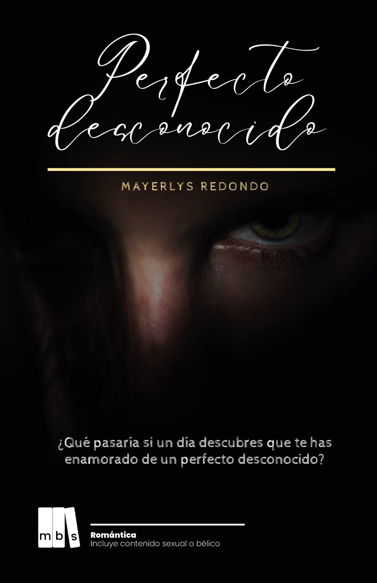 Portada de Perfecto desconocido de Mayerlys Redondo